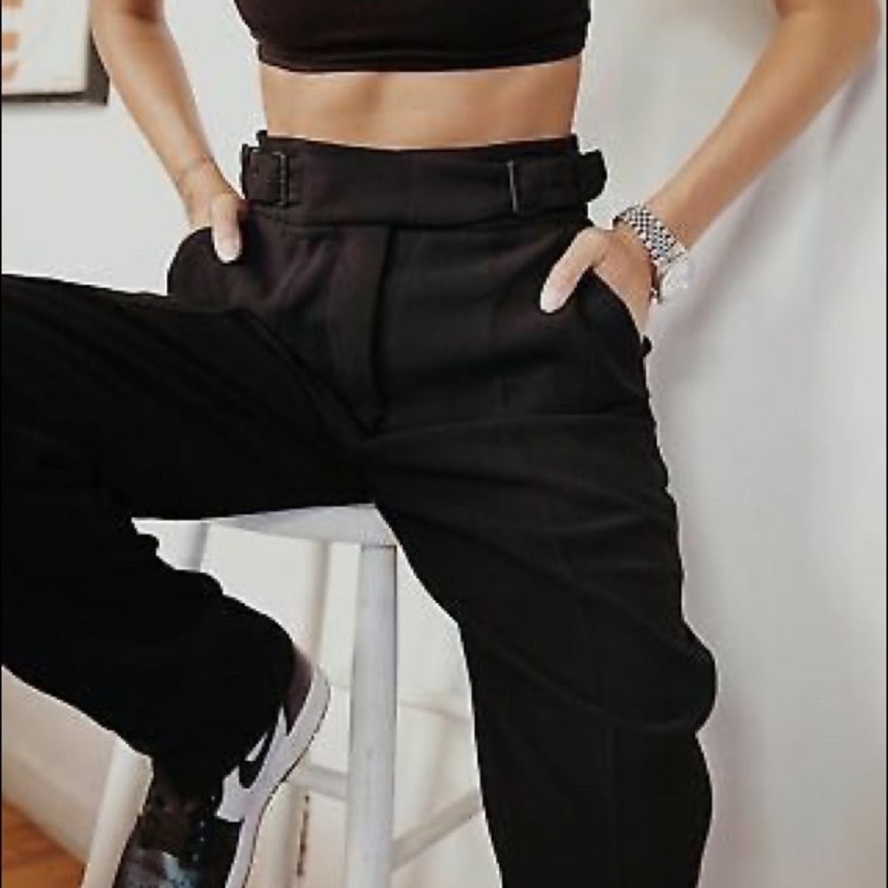 Aritzia Anna Pant